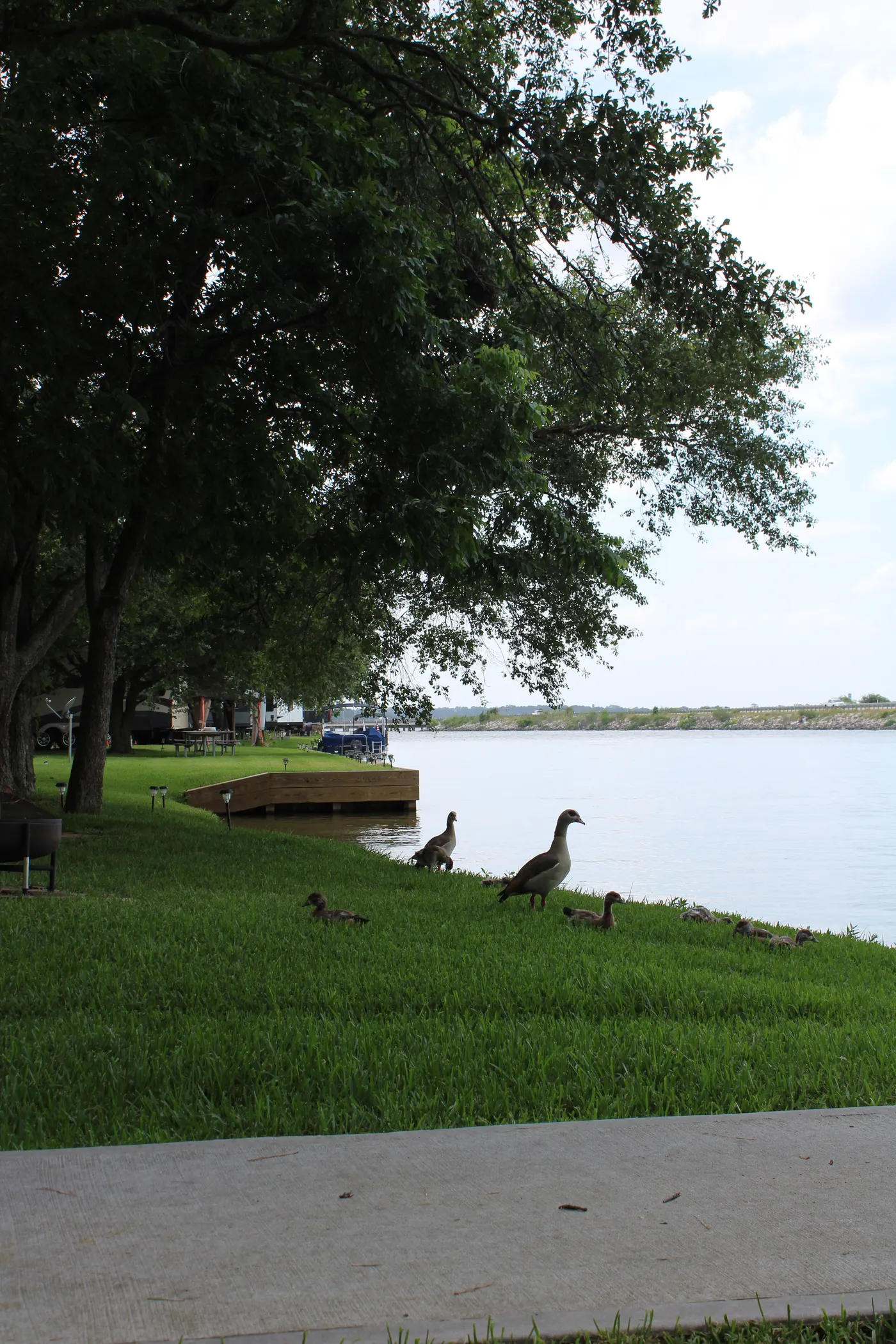 Sunset Shores RV Park on Lake Conroe — photo 8