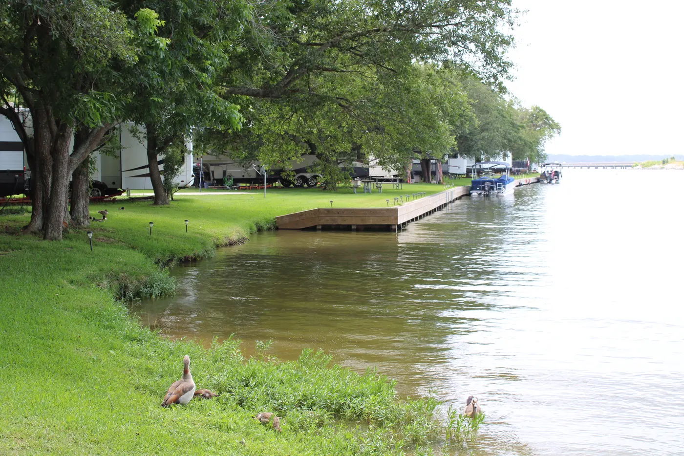 Sunset Shores RV Park on Lake Conroe — photo 18