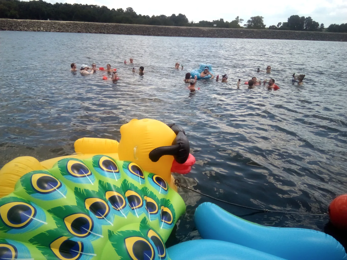 Swimming on Lake Conroe
