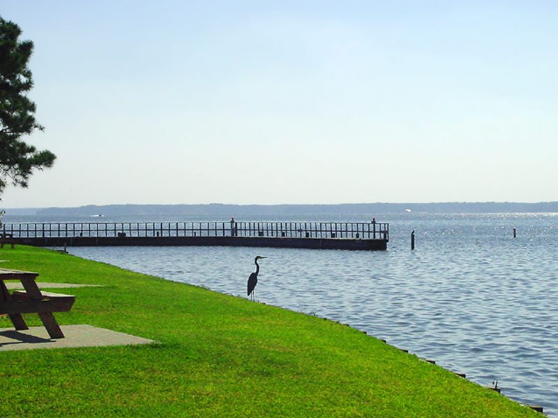 lake conroe